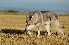 DSC_1338_2_Jahre_1_Monat