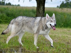 DSC_3982_1_Jahr