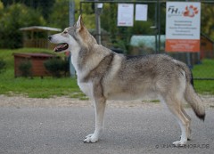 DSC_4941_5_Jahre_2_Monate