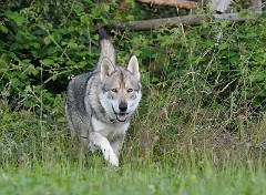 DSC_0931_2_Jahre_1_Monat