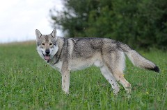 DSC_0974_2_Jahre_1_Monat