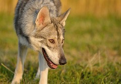 DSC_4831_1_Jahr_1_Monat
