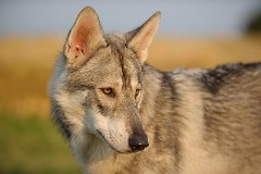 DSC_4840_1_Jahr_1_Monat
