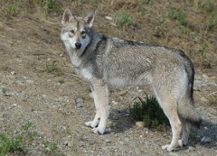 DSC_1807_1_Jahr_3_Monate