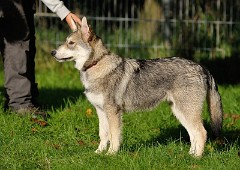 DSC_4779_16_Wochen