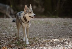DSC_9098_3_Jahre