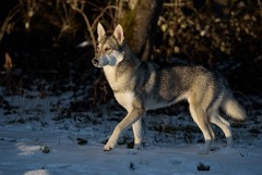 DSC_1774_2_Jahre_8_Monate