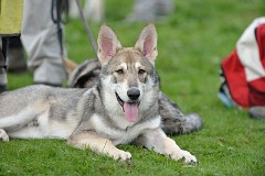 DSC_5286_20_Wochen