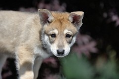 DSC_6763_Tag_48