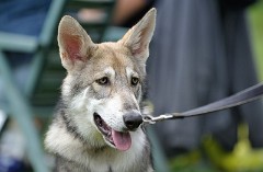DSC_5443_20_Wochen