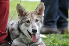 DSC_5482_20_Wochen
