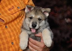 DSC_4772_Tag_42