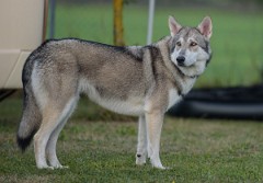DSC_2084_2_Jahre_4_Monate