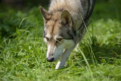 DSC_5113_3_Jahre_4_Monate