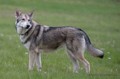 DSC_8501_3_Jahre